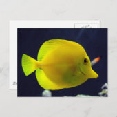 Yellow Tang Briefkaart (Voorkant / Achterkant)