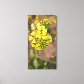 yellow tiny flower spring flora collection canvas afdruk (Voorkant)