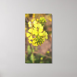 yellow tiny flower spring flora collection canvas afdruk