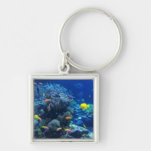 Yellow Tropical Fish Underwater Foto Sleutelhanger