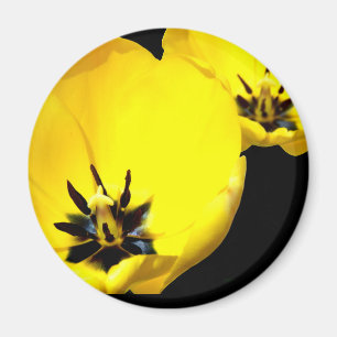 Yellow Tulip Magnet Magneet