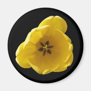 Yellow Tulip Magnet Magneet
