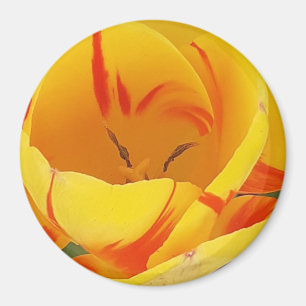 Yellow Tulip Magnet Magneet
