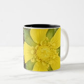 Yellow Tulip Mug (Devant droit)