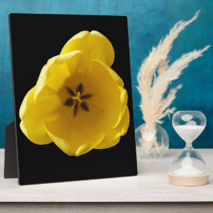 Yellow Tulip Plaque Fotoplaat