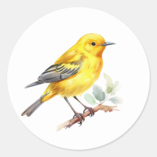 Yellow Warbler Bird Stickers