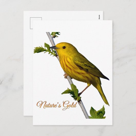 Yellow Warbler "Natuur's Gold" Printed Art Kaart (Voorkant / Achterkant)