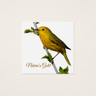 Yellow Warbler "Natuur's Gold" Printed Art Kaart