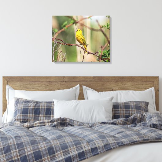 Yellow Warbler Singing Canvas Afdruk (Insitu (Slaapkamer))