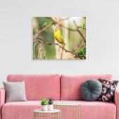 Yellow Warbler Singing Canvas Afdruk (Insitu (Woonkamer))