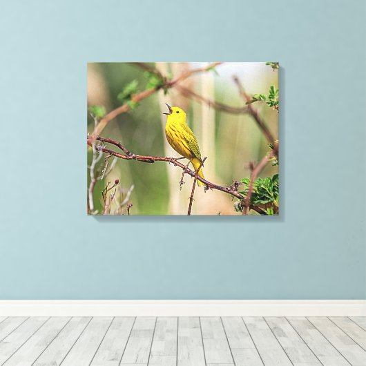 Yellow Warbler Singing Canvas Afdruk (Insitu (Houten vloer))
