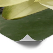 Yellow Water Lily Poster (Hoek)