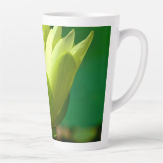 Yellow Waterlily Latte-Mok Latte Mok