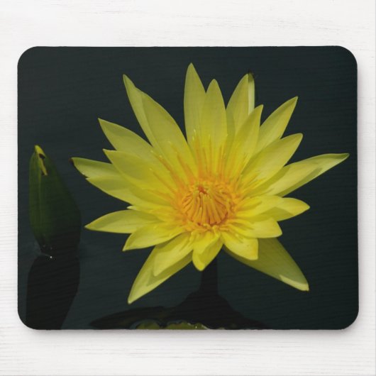 Yellow Waterlily mousepad Muismat (Voorkant)