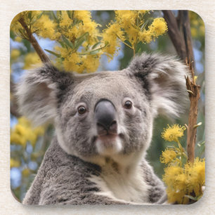 Yellow Wattle en Koala Beer, Bier Onderzetter