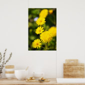 Yellow Wild Flower Photo Poster (Keuken)