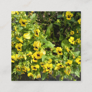 Yellow Wildflower Garden Nature Photography Square Vierkante Visitekaartje