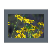 Yellow Wildflowers Briefkaart