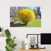 Yellow Wisteria Struik Poster (Thuiskantoor)