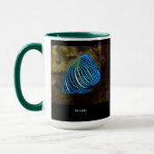 Yellowbar angelfish mok (Links)