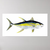 Yellowfin Tuna Artwork
