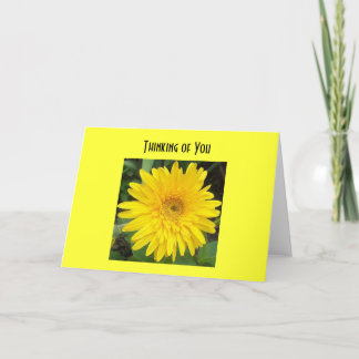 yellowgerberdaisy, het Denken aan u Kaart
