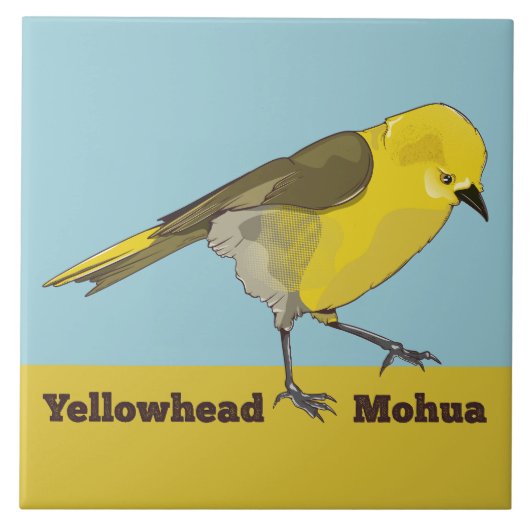 Yellowhead Mohua Tegeltje (Voorkant)