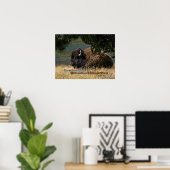 Yellowstone - affiche de l'American Bison (Bureau à domicile)