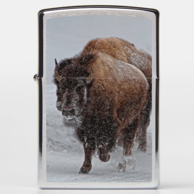 Yellowstone Bison (Voorkant)