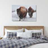 Yellowstone Bison Canvas Afdruk (Insitu (Slaapkamer))