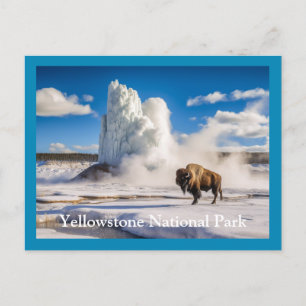 Yellowstone Bison & Geyser Briefkaart