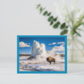 Yellowstone Bison & Geyser Briefkaart (Staand voorkant)