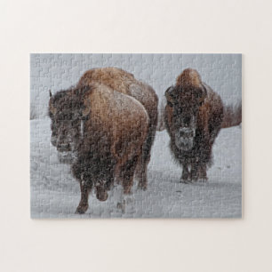 Yellowstone Bison Legpuzzel
