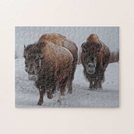 Yellowstone Bison Legpuzzel (Horizontaal)