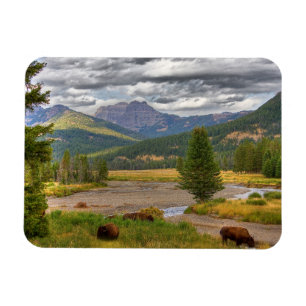 Yellowstone Bison Magneet