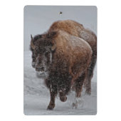 Yellowstone Bison Mini Klembord (Achterkant)