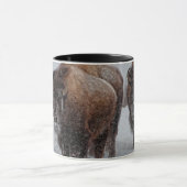 Yellowstone Bison Mok (Midden)