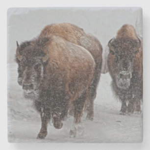 Yellowstone Bison Stenen Onderzetter