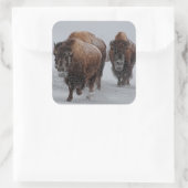 Yellowstone Bison Vierkante Sticker (Tas)