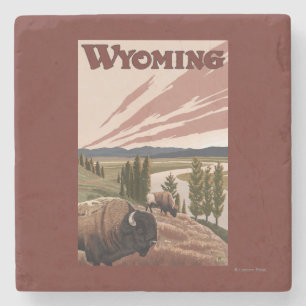 Yellowstone Bison Vintage Travel Poster Stenen Onderzetter