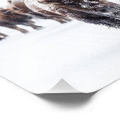 Yellowstone Bizon Foto Print Afdruk (Hoek)
