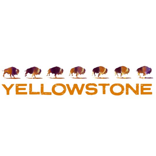 Yellowstone Bizon Hardlopen T-shirt