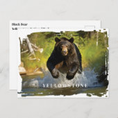 Yellowstone Black Beer Briefkaart (Voorkant / Achterkant)