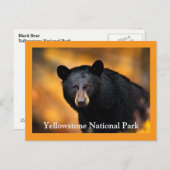 Yellowstone Black Beer Briefkaart (Voorkant / Achterkant)