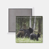 Yellowstone Black Beer Magnet Magneet (Voorkant / Achterkant)