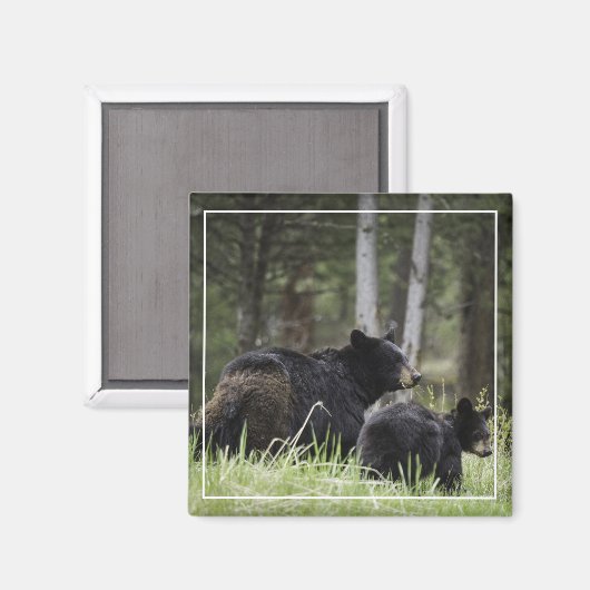 Yellowstone Black Beer Magnet Magneet (Voorkant / Achterkant)