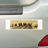 Yellowstone Buffalo Gear Bumpersticker (Op auto)