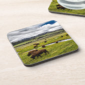 Yellowstone Buffalo Onderzetter set (Linkerzijde)