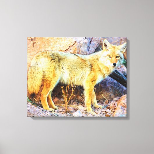 Yellowstone Coyote Canvas Afdruk (Voorkant)