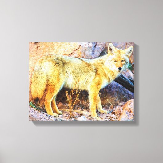 Yellowstone Coyote Canvas Afdruk (Voorkant)